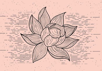 Free Detailed Vector Flower - бесплатный vector #412561